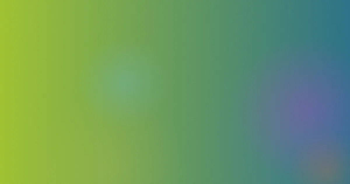 飞屋环游记推荐：新手这样看